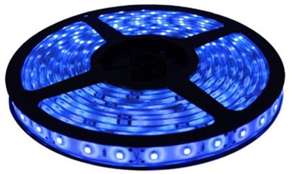 Imagem de C421 - Fita 60 SMD 3528/Metro AZUL IP65 12V