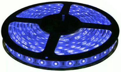 Imagem de C465 - Fita 60 SMD 5050/Metro AZUL IP65 HIGH POWER 12V