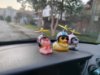 Imagem de CH5062  - Pato Decorativo c/ Óculos e Corrente (sem capacete)